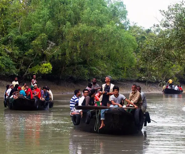 sundarban group gallery7